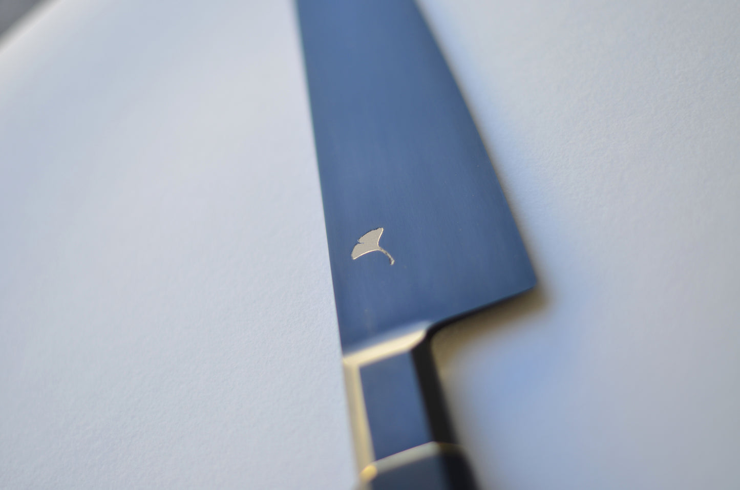 Aureus Gingko